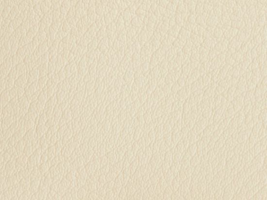 Similicuir Skiny Uni 140cm M2