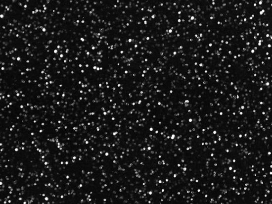 Simili Disco  138 cm M2