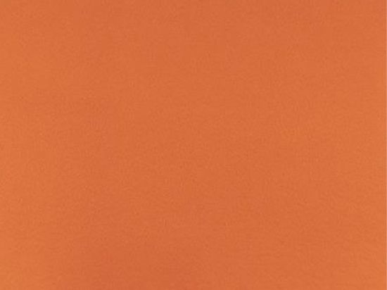 Montexpo Budget Expotapijt 202 cm x 60m Bfl-s1