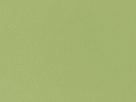 Sol PVC Acoustisol 2m Bfl-s1