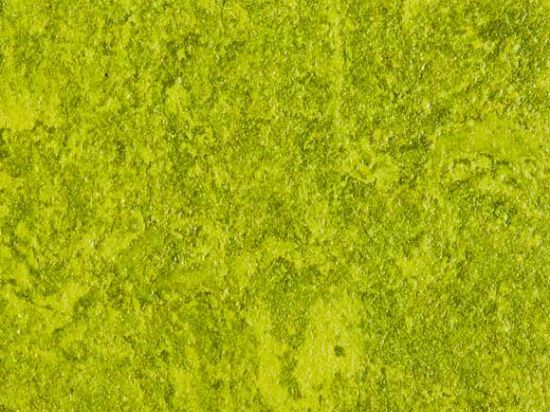 Marble Linoleum Flooring 2m Cfl-s1