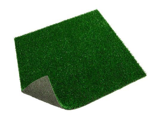 Artificial Grass Edge 2m