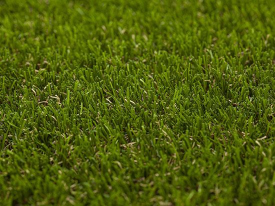 Artificial Grass Elite 6051