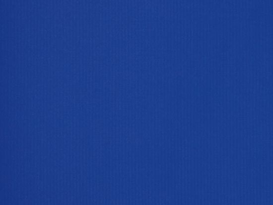 Toile enduite Tirex/ Extandex 330G 220cm M2