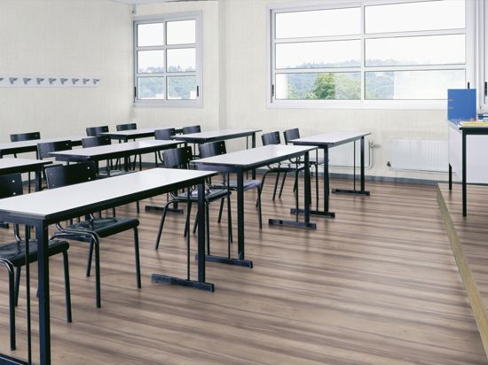 Sol Taralay Impression Confort 43