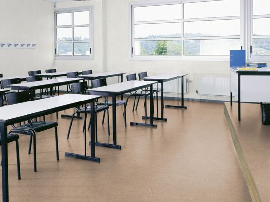 Sol PVC Taralay Impression Compact 33