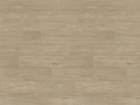 Sol PVC Taralay Impression Compact 33