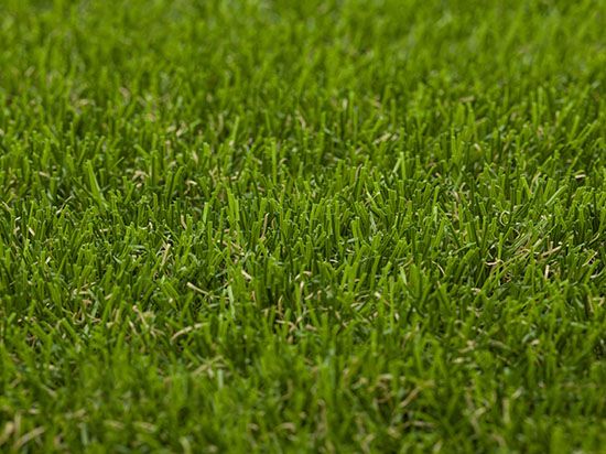 Artificial Grass Wanderlust 6960