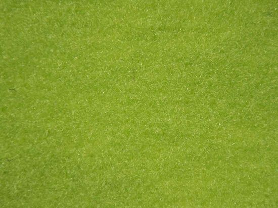 Velours Carpet Windsor 2m