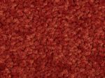 Dalle Moquette Saxony Uni 50cm x 50cm Bfl-s1