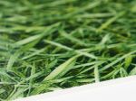 PVC Vinyl Herbe/Grass 2m Cfl-s1