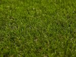 Artificial Grass Elite 6051