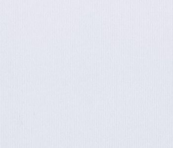 Rewind© Rib Recycleerbaar Expotapijt 2m Bfl-s1