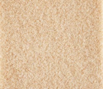 Salsa Velours Expotapijt 2m Bfl-s1