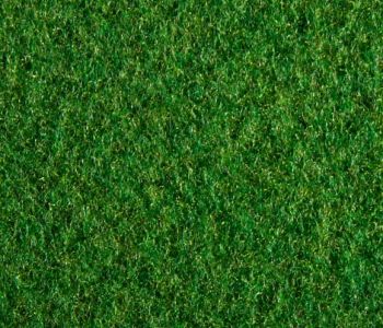 Expogazon 2m Cfl-s1 vert