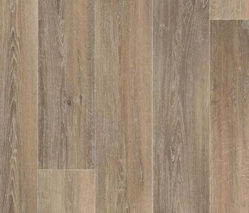 Expo Vinyl Lime Oak 4m Bfl-s1