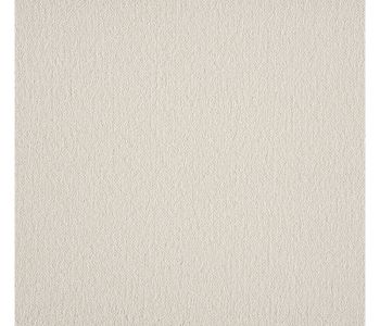 Moquette Noblesse Gris clair - Col 09 - 4m Cfl-s1