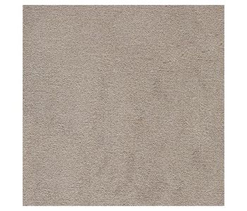 Moquette Noblesse Taupe - Col 39 -  4m Cfl-s1